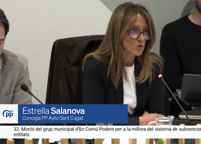 Sobre els criteris per atorgar les subvencions a entitats